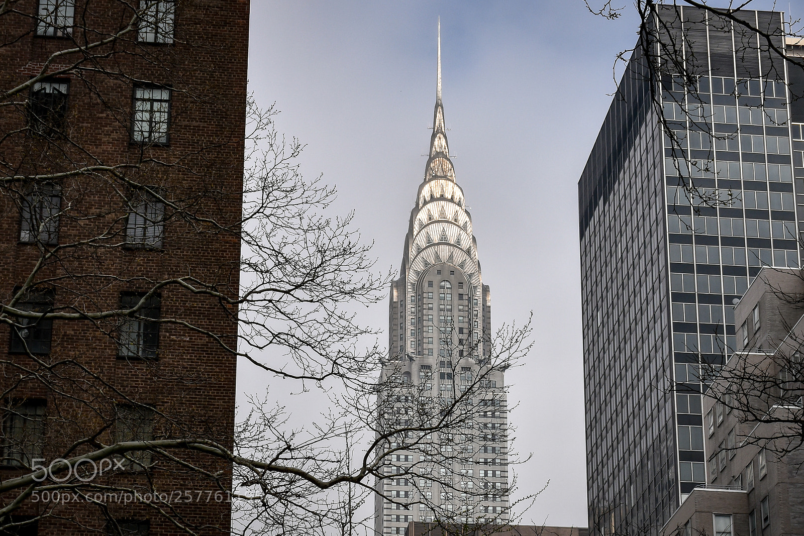 Nikon D7200 sample photo. Shiny chrysler building photography