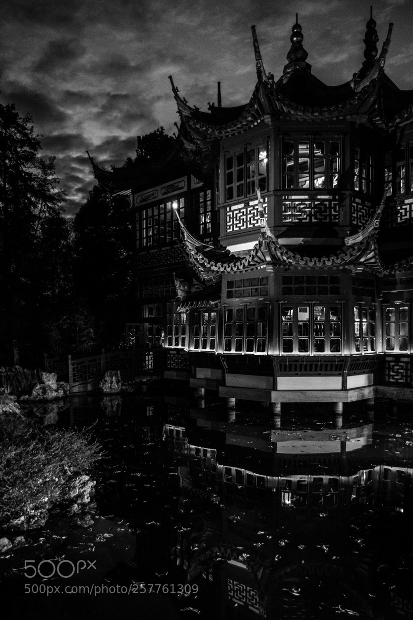Canon EOS 7D sample photo. Thé noir photography