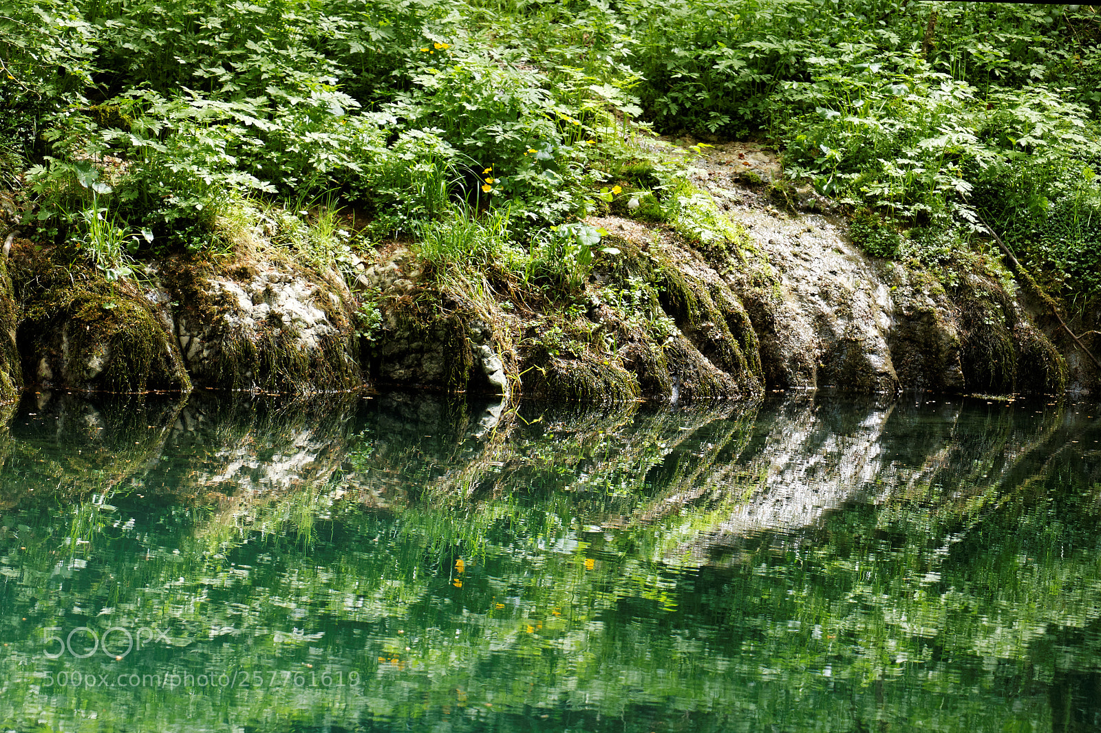 Canon EOS 70D sample photo. Source de l'ain1 photography