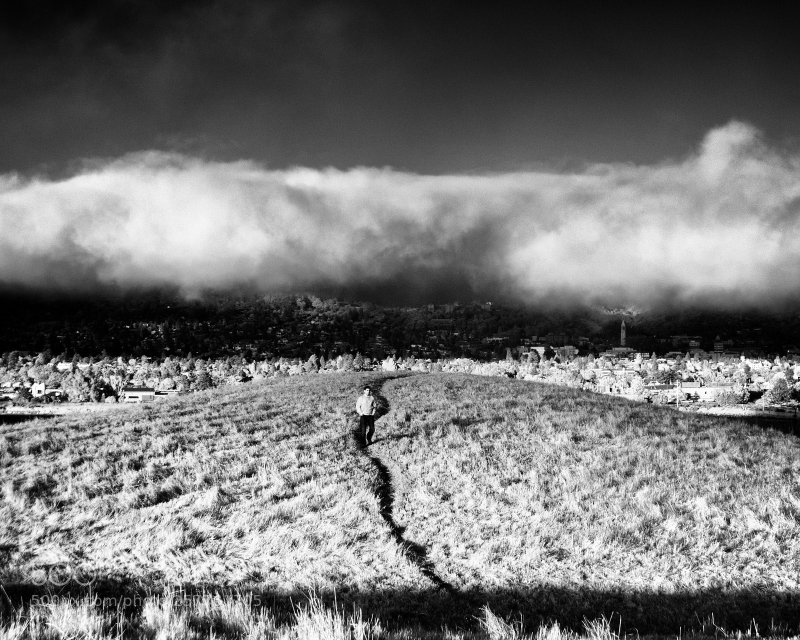 Sony Cyber-shot DSC-RX100 III sample photo. Walking under fog bank photography