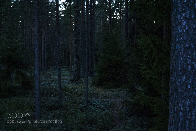 Nikon D3000 sample photo. Sights of kokkola photography