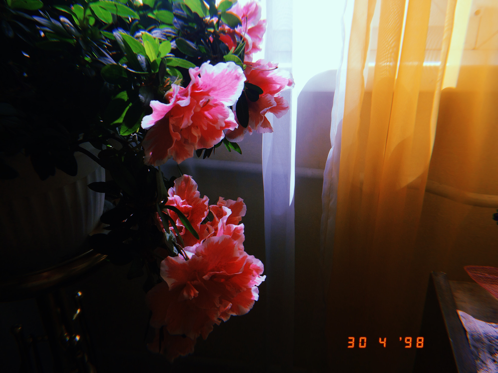 Apple iPhone sample photo