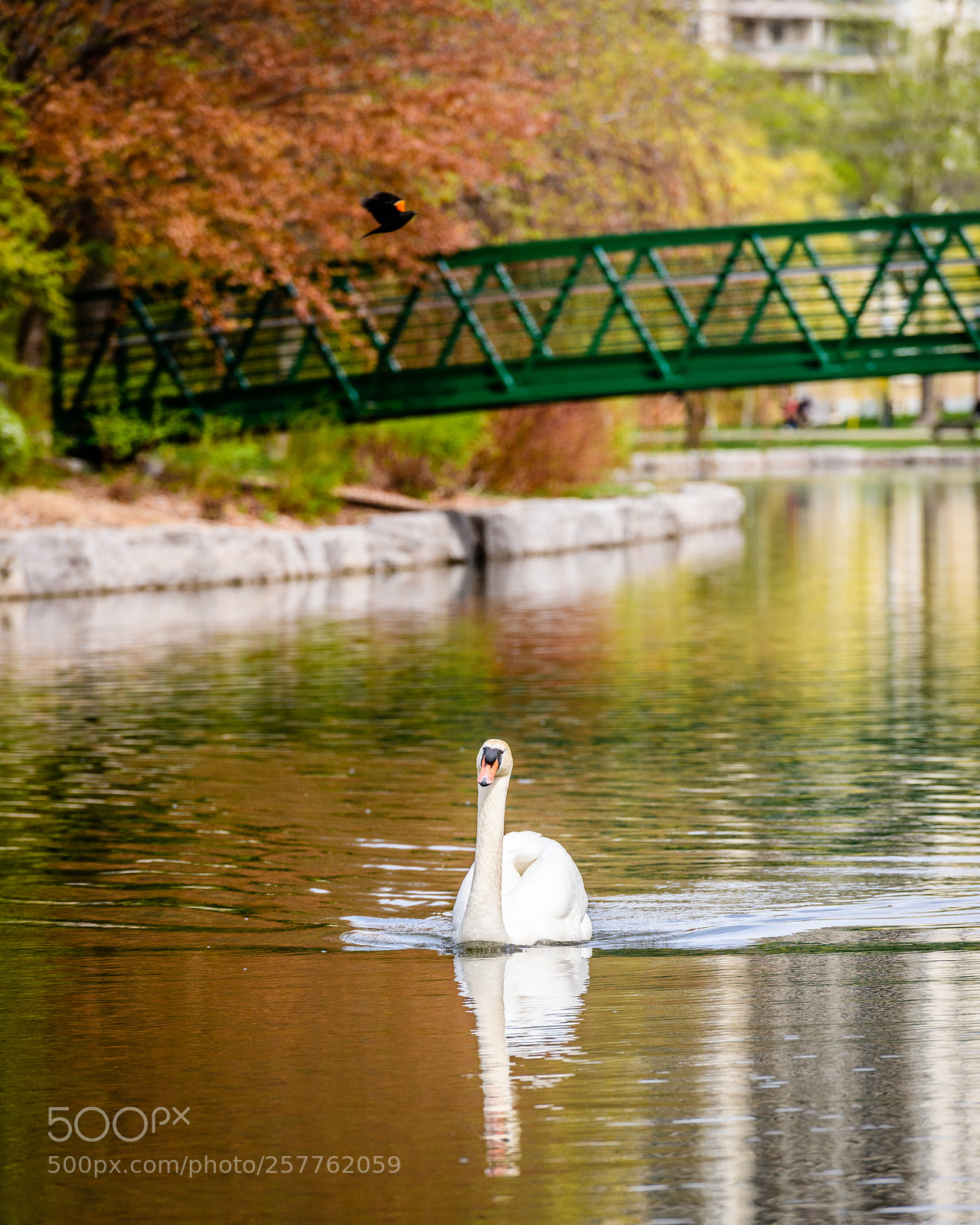 Nikon D850 sample photo. Grace photography