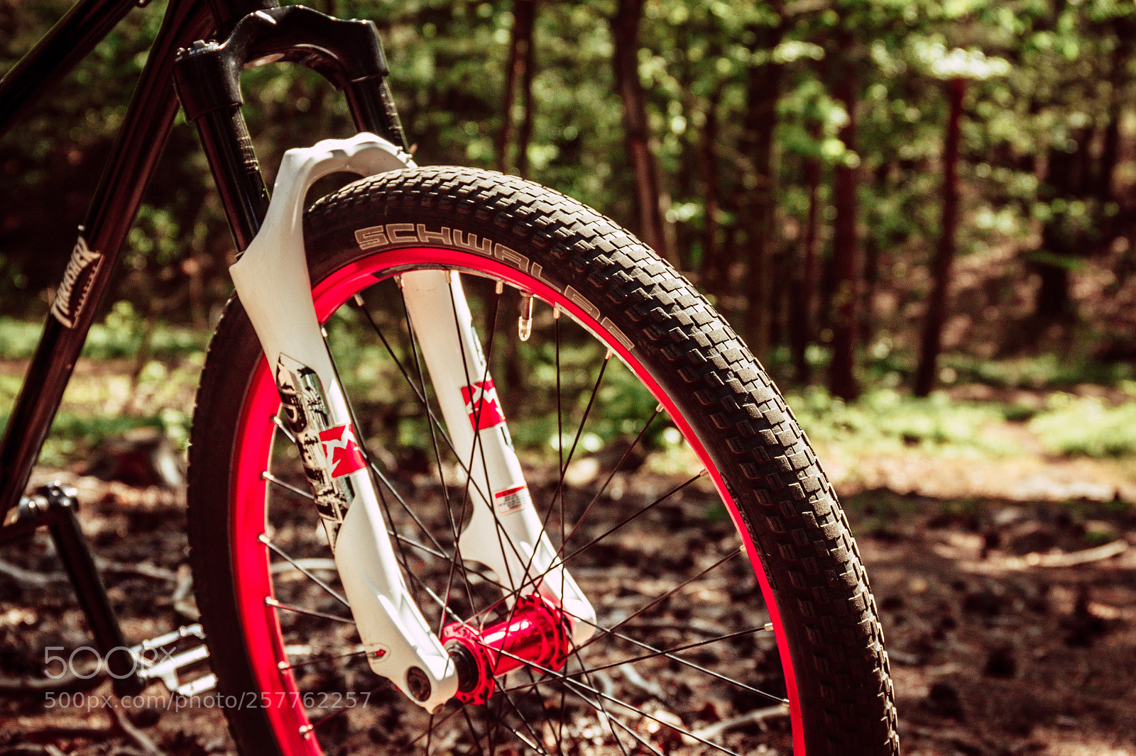 Canon EOS 500D (EOS Rebel T1i / EOS Kiss X3) sample photo. Mountain bike photography