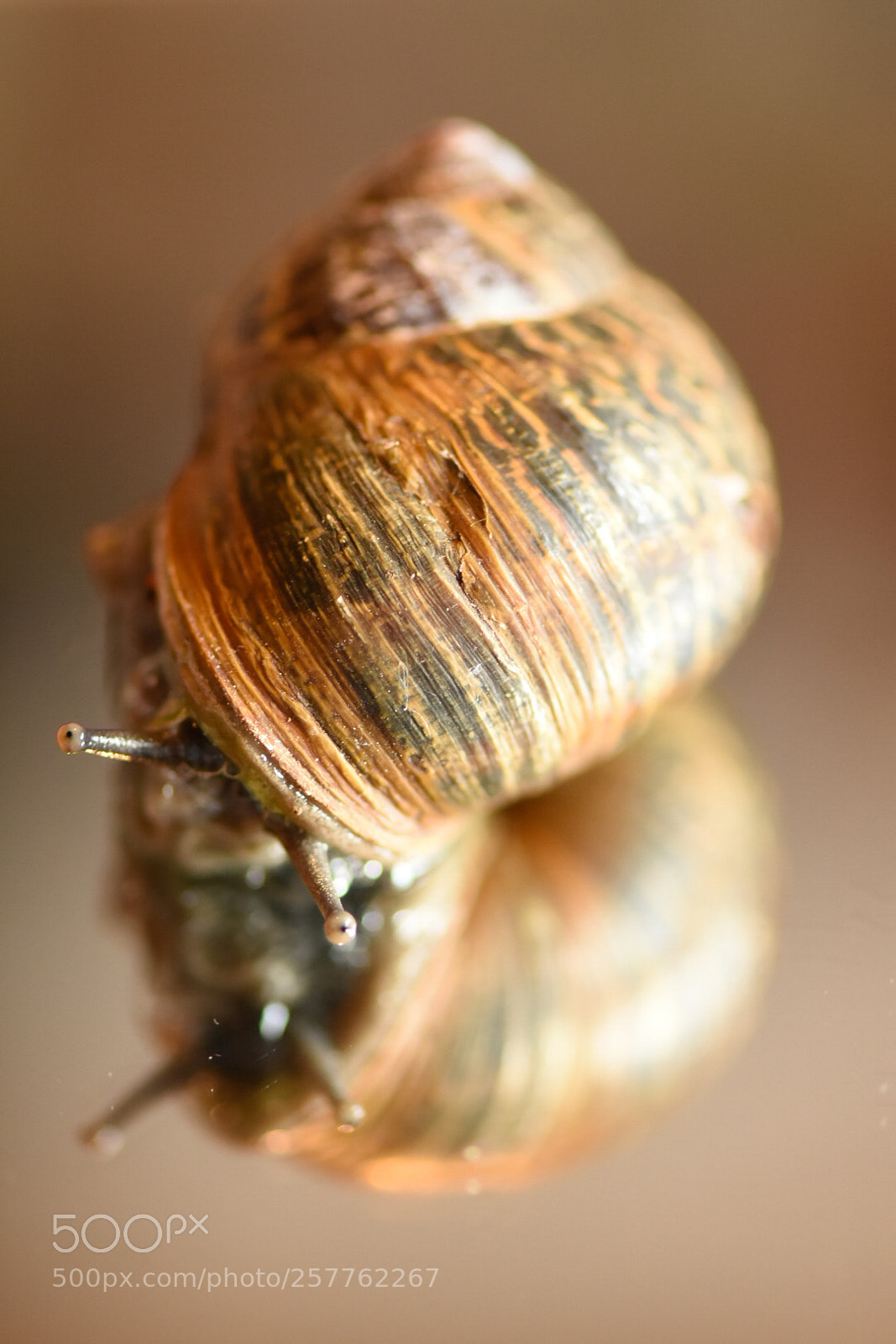 Nikon D7200 sample photo. Coming out ! photography