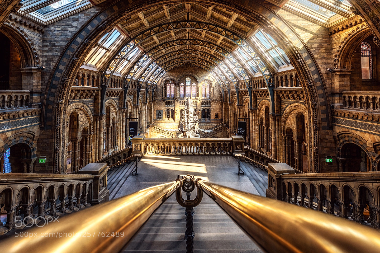 Canon EOS 5D Mark IV sample photo. Natural history museum photography