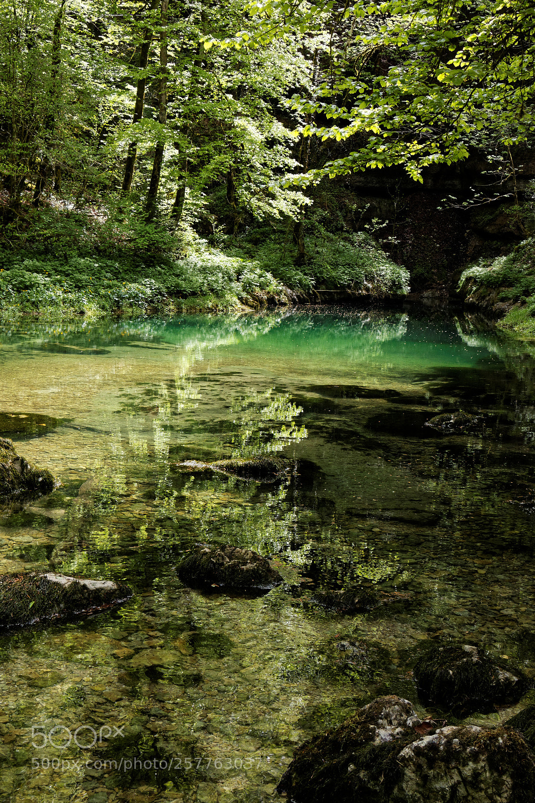 Canon EOS 70D sample photo. Source de l'ain2 photography