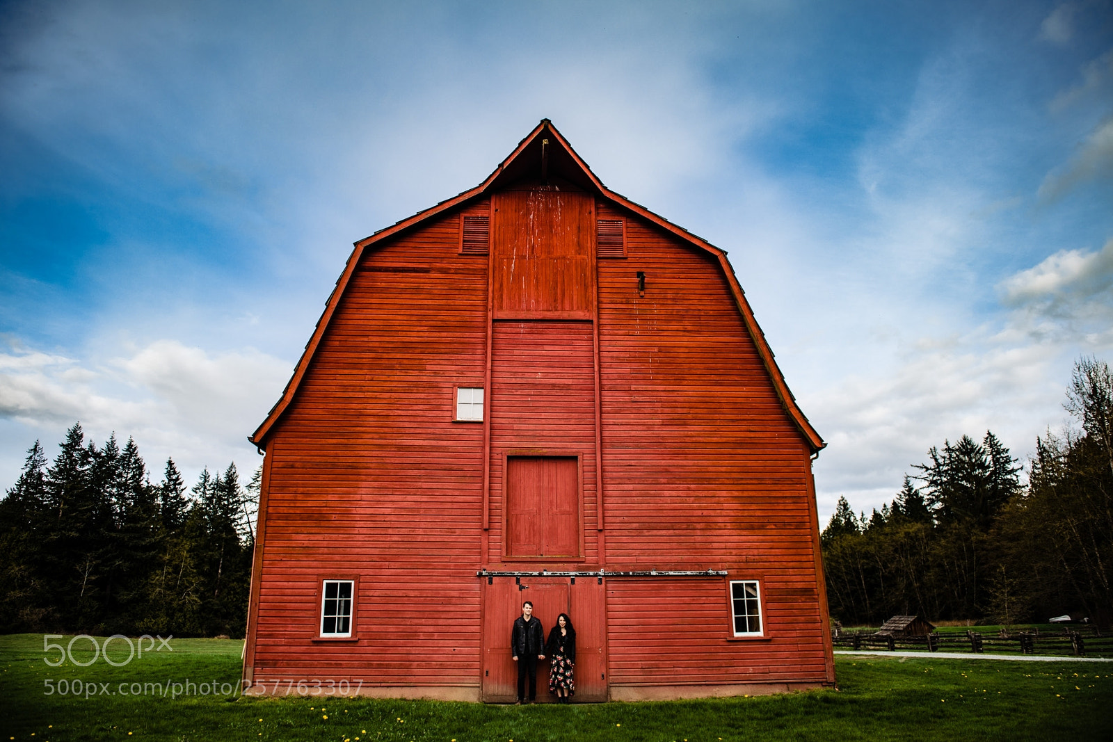 Nikon D850 sample photo. Untitled photography