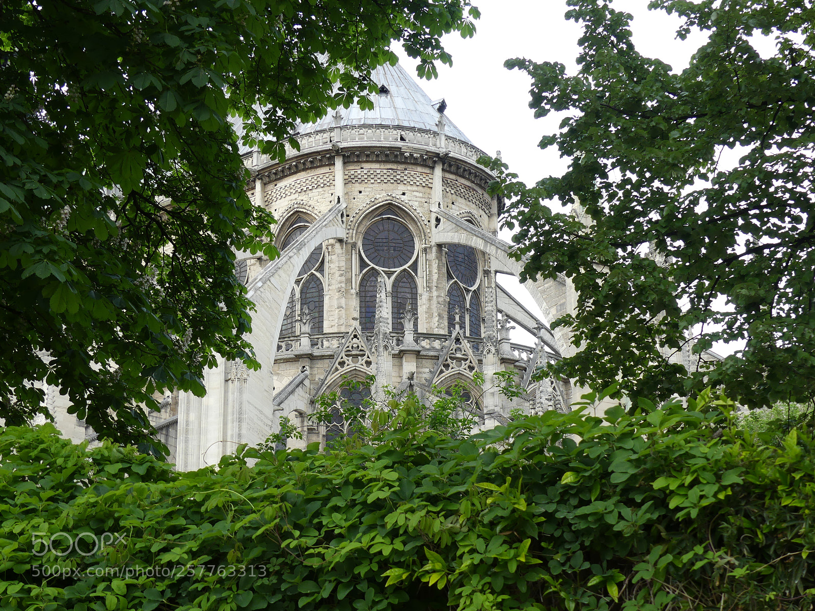 Panasonic Lumix DMC-FZ300 sample photo. 1163 photography