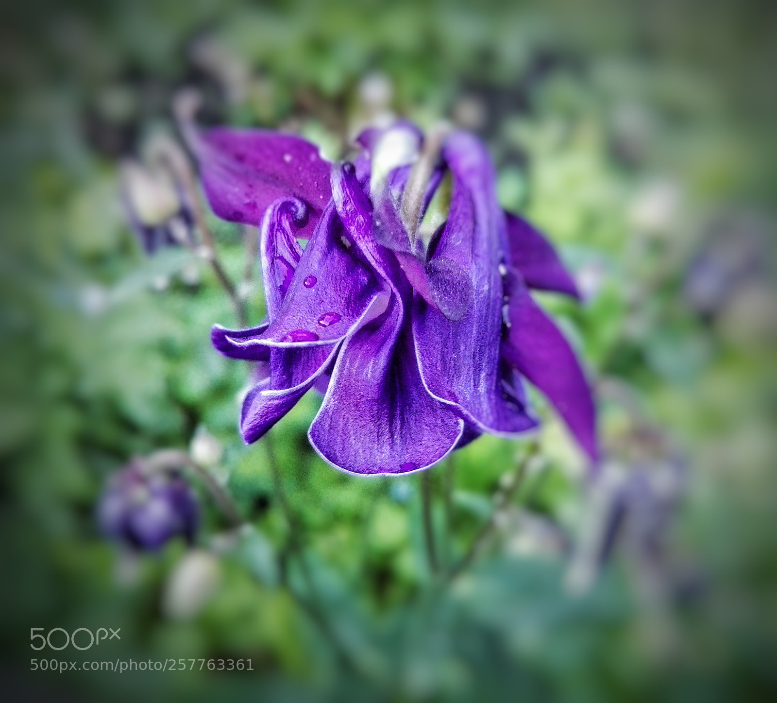 HUAWEI P8 Lite sample photo. Morning... photography