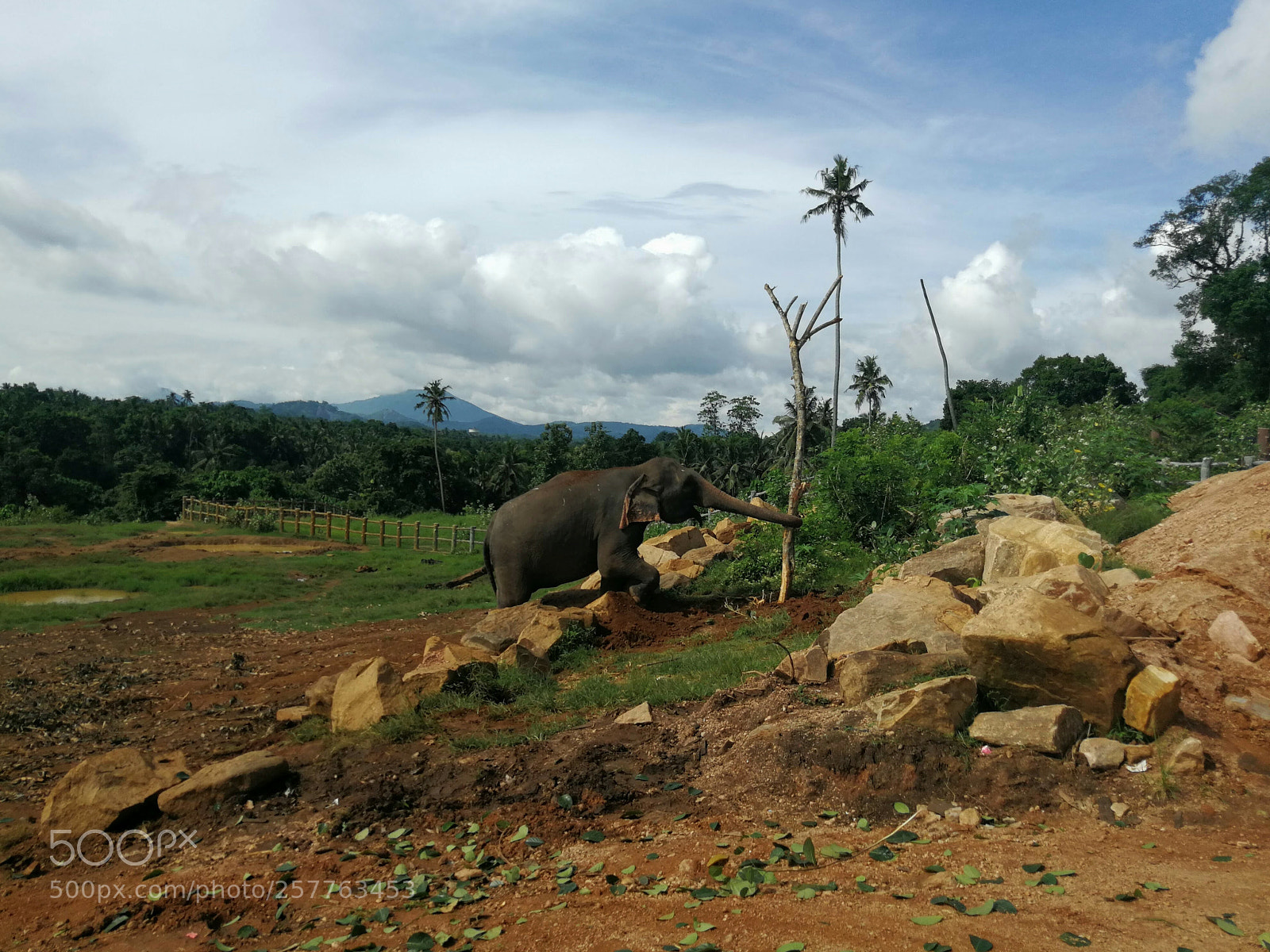 HUAWEI P10 Plus sample photo. Sri lanka photography