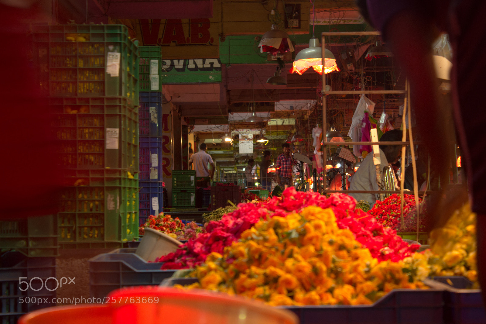 Canon EOS 700D (EOS Rebel T5i / EOS Kiss X7i) sample photo. Stalls photography