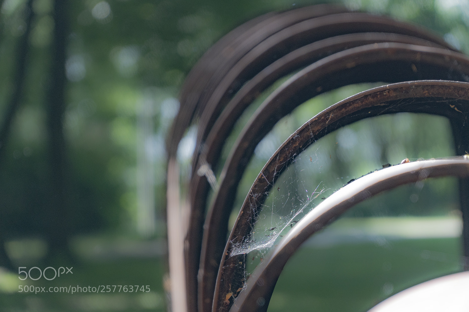 Sony a6300 sample photo. Cycles photography