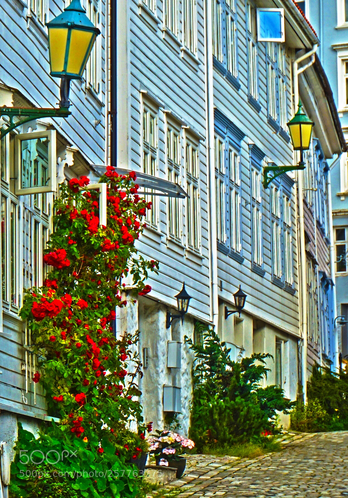 Sony Alpha a5000 (ILCE 5000) sample photo. On the streets of photography