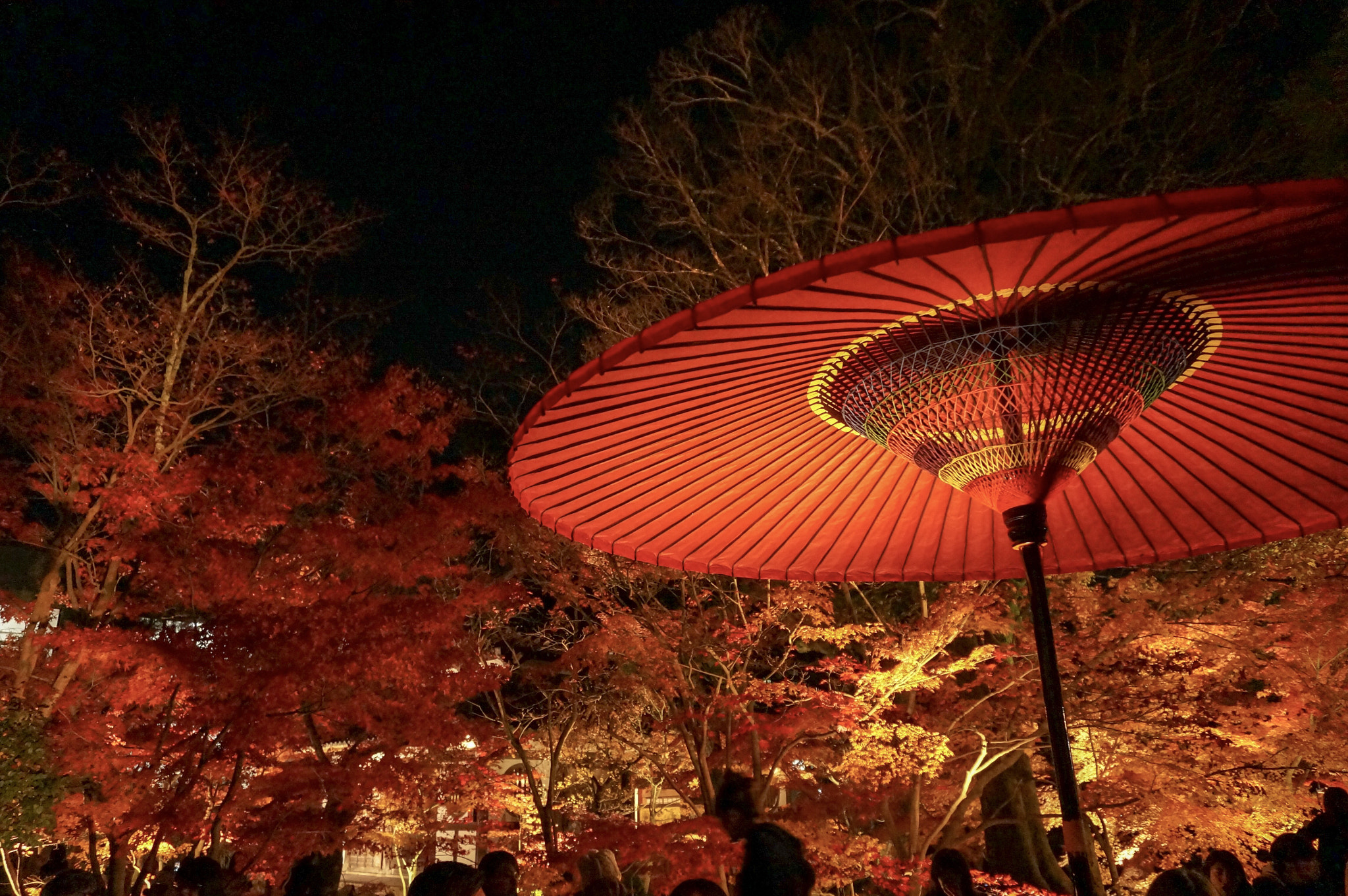 Sony Alpha NEX-5R sample photo. Night of kyoto photography