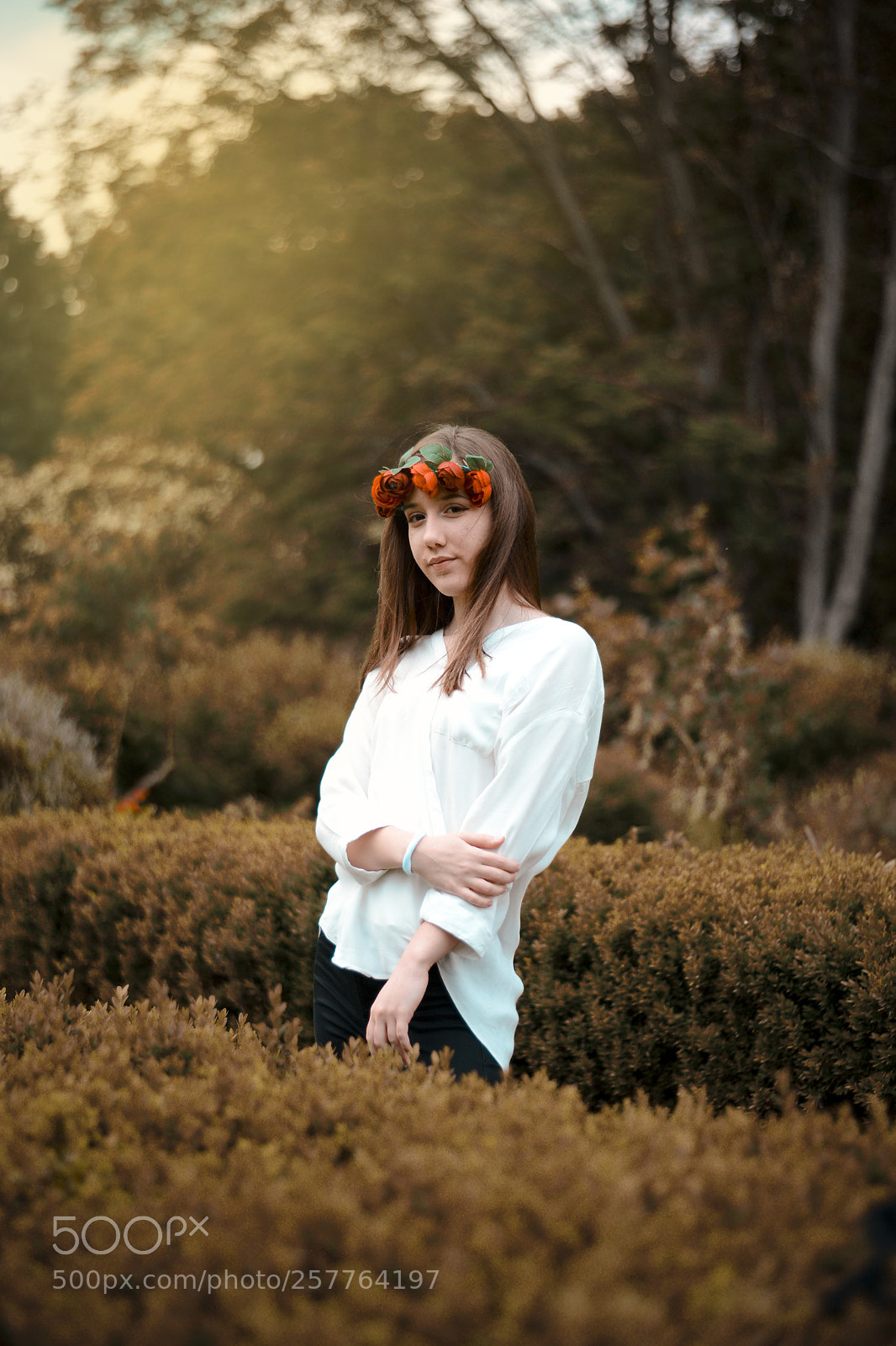 Nikon D600 sample photo. Dream 2 photography
