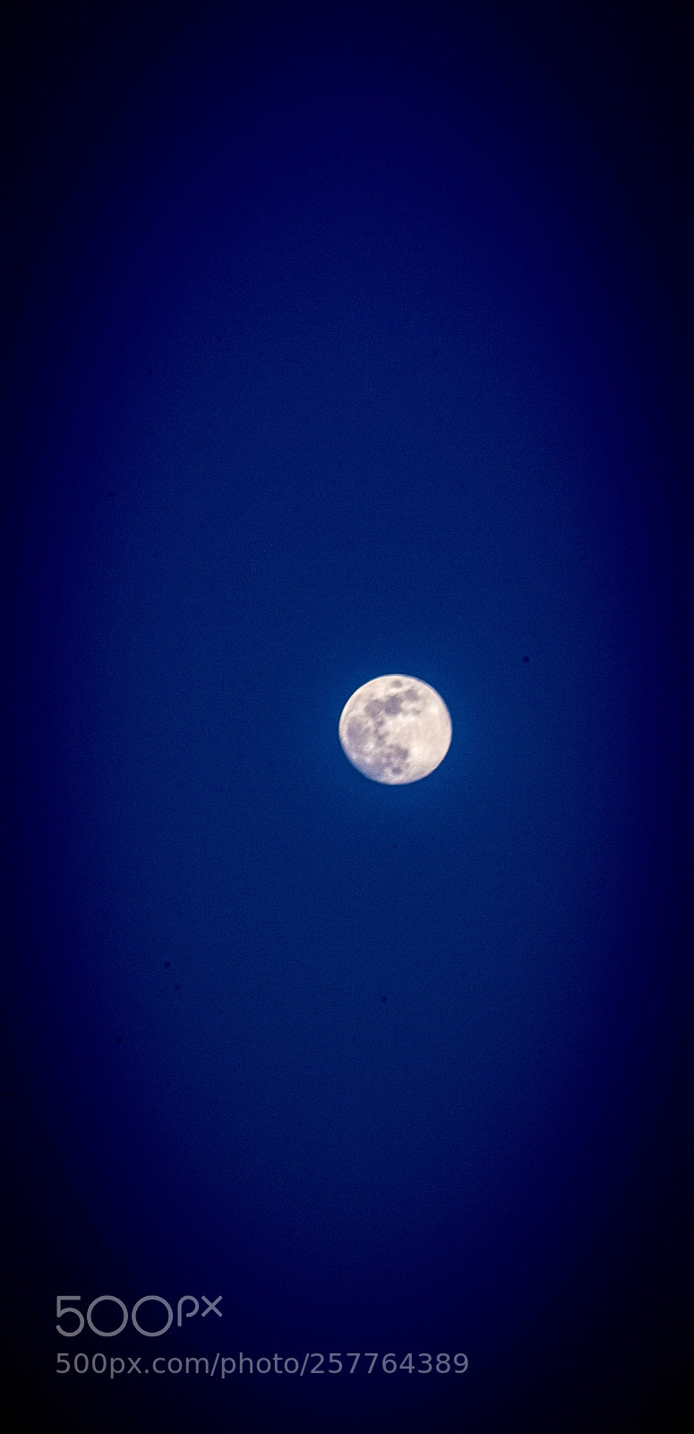 Nikon D3100 sample photo. 2 nd sun :) photography