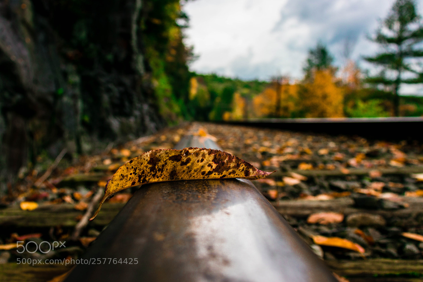 Canon EOS 800D (EOS Rebel T7i / EOS Kiss X9i) sample photo. Autumn railroad photography