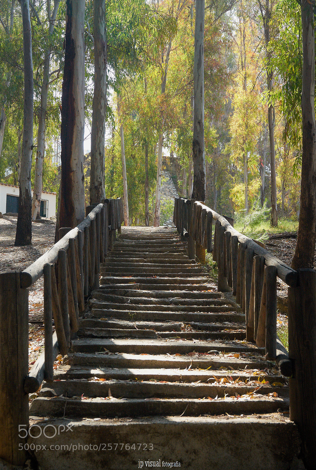 Sony a7 II sample photo. Icona park photography