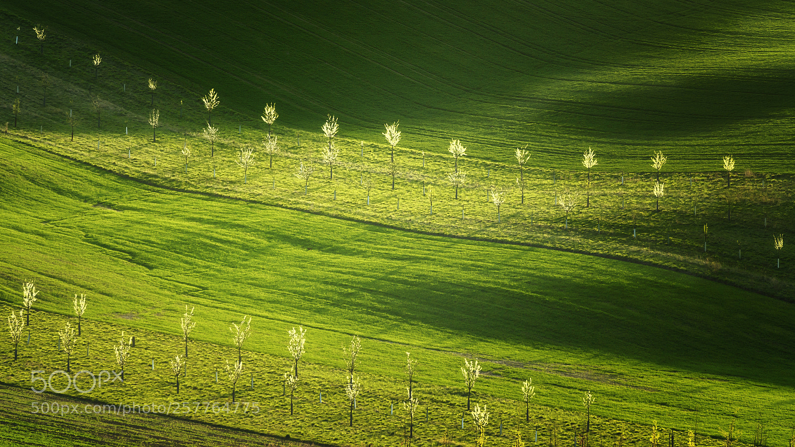 Nikon D7000 sample photo. Moravian tuscany photography