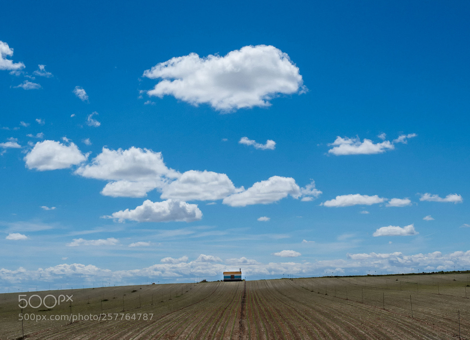 Olympus OM-D E-M1 Mark II sample photo. ... photography