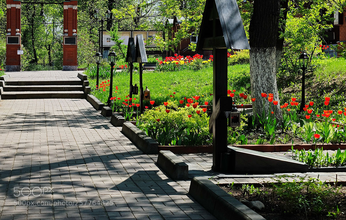 Fujifilm X-M1 sample photo. Spring in the monastery. photography