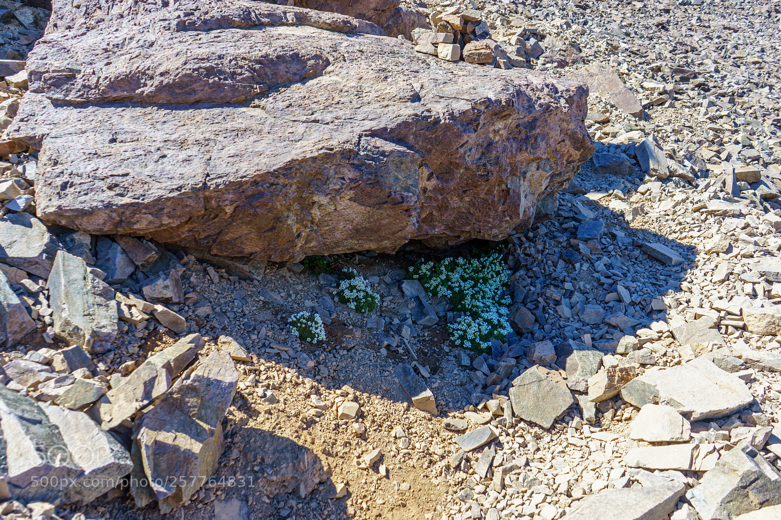 Sony a7 sample photo. Corse gr20 photography