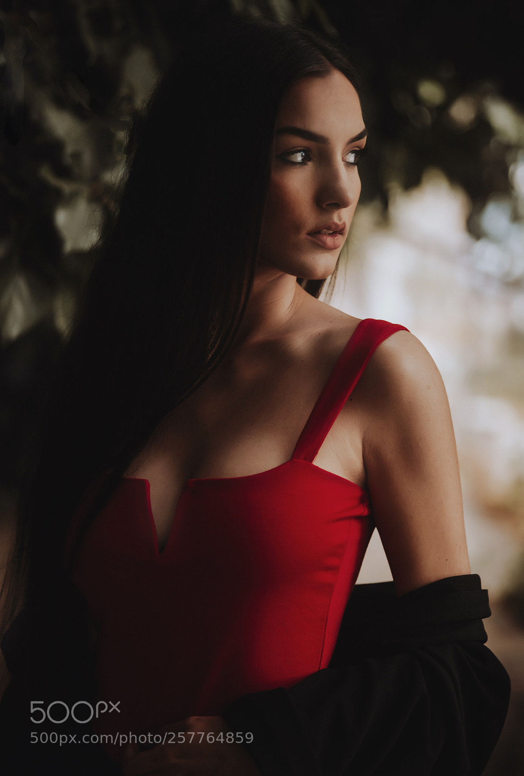 Nikon D800 sample photo. Elegant... photography