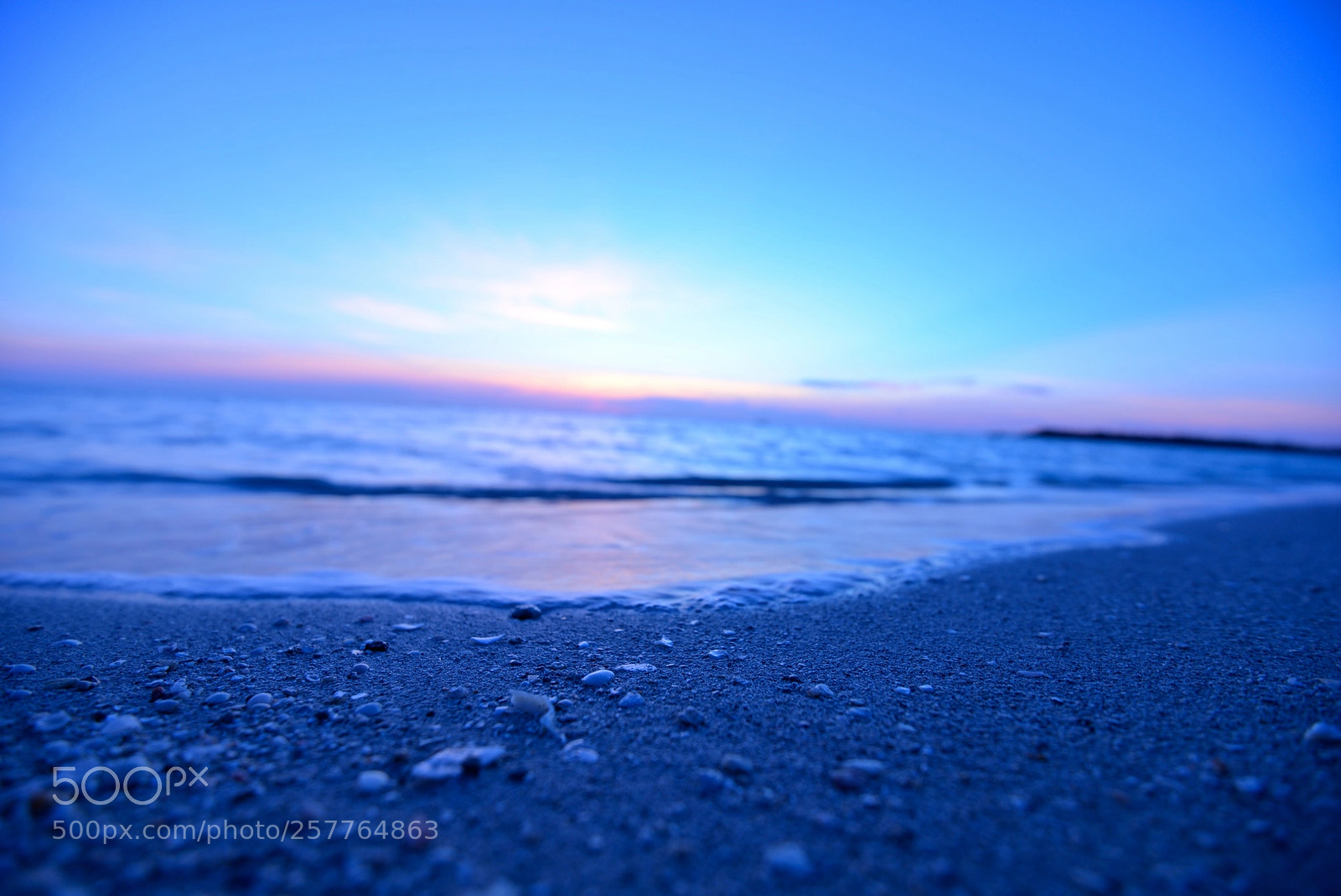 Nikon D600 sample photo. Ziv photography