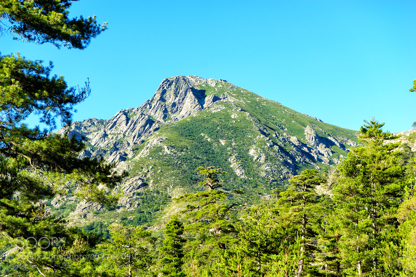 Sony a7 sample photo. Corse gr20 photography