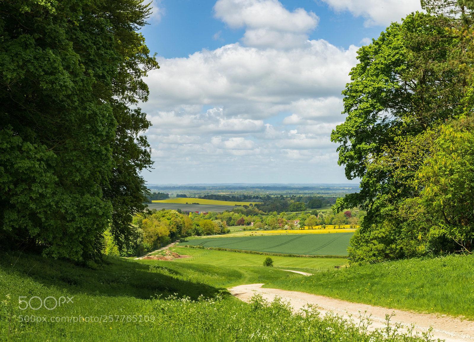 Canon EOS-1D X Mark II sample photo. The ridgeway uk photography
