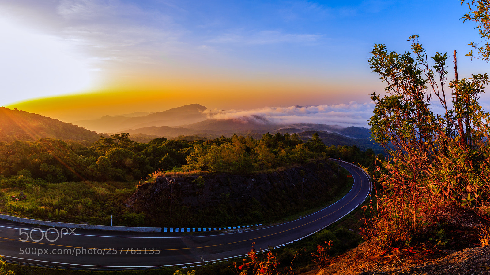 Canon EOS 6D sample photo. Sea of fog doi photography