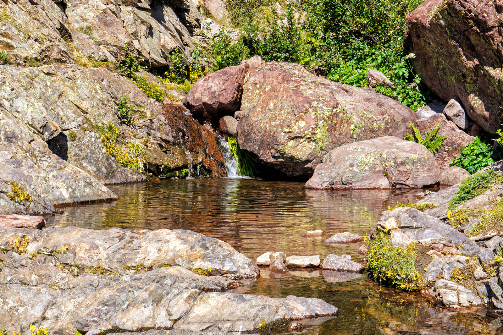 Sony a7 sample photo. Corse gr20 photography