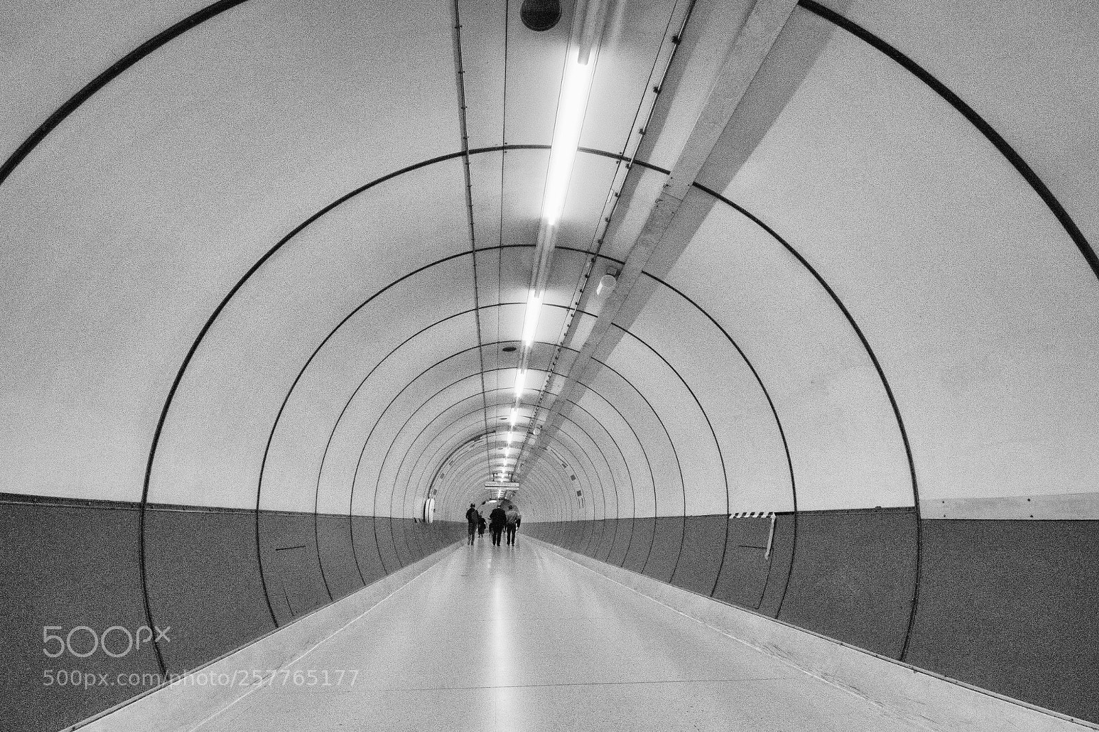 Canon EOS 7D sample photo. Silver tunnel photography