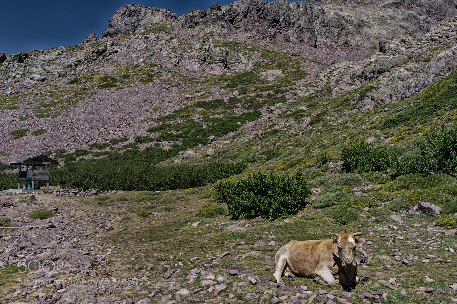 Sony a7 sample photo. Corse gr20 photography