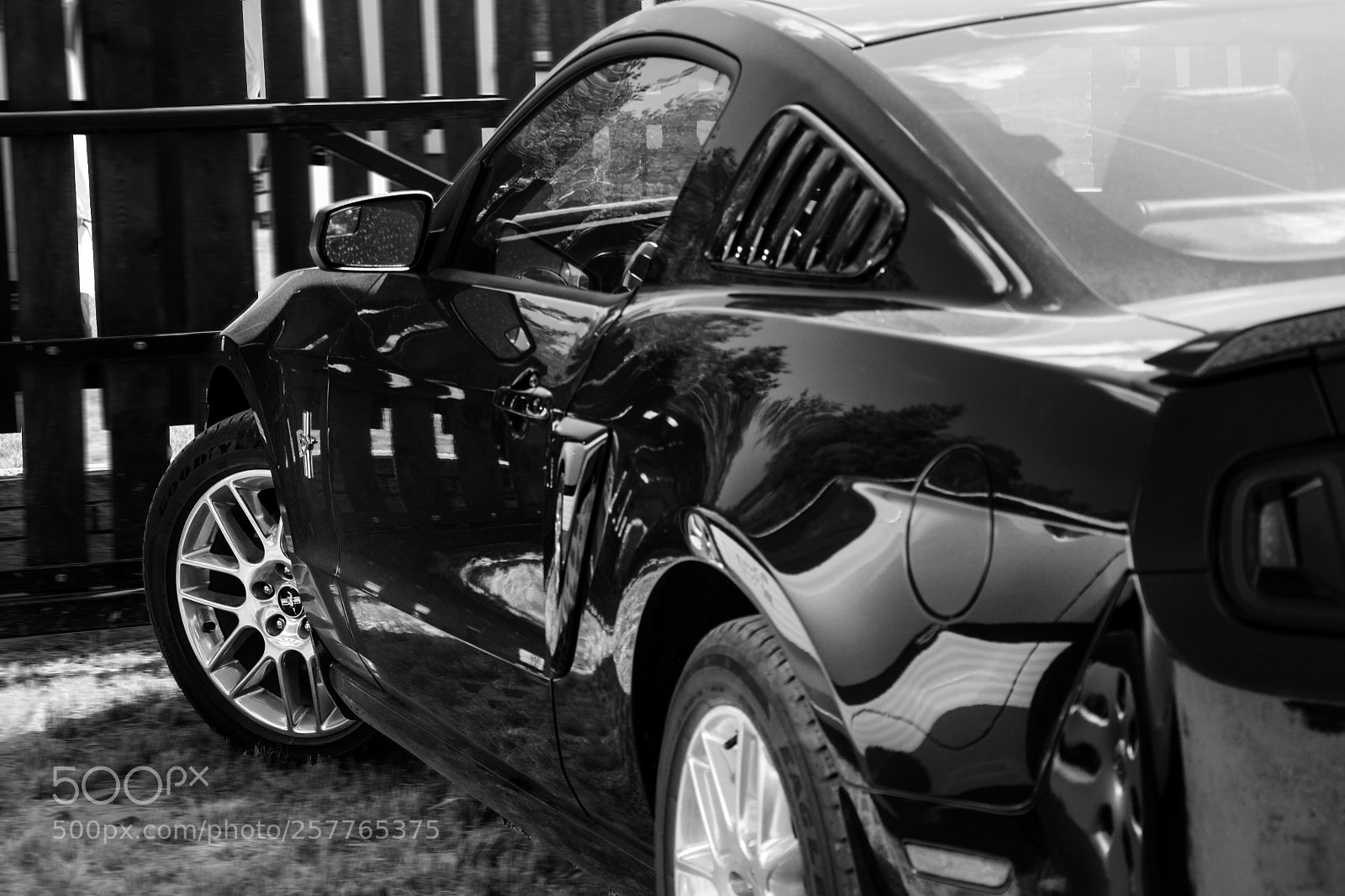 Nikon D5200 sample photo. Mustang photography