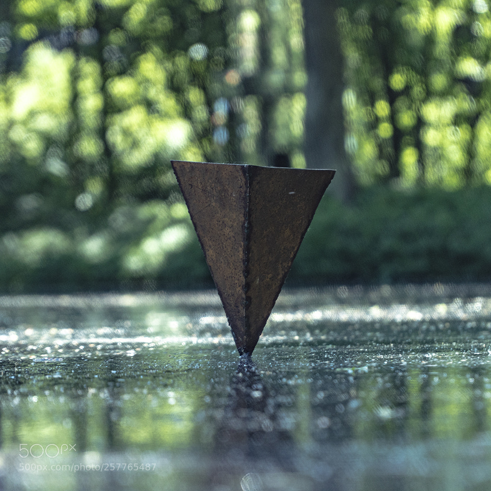 Sony a6300 sample photo. Sculpture floating on water photography