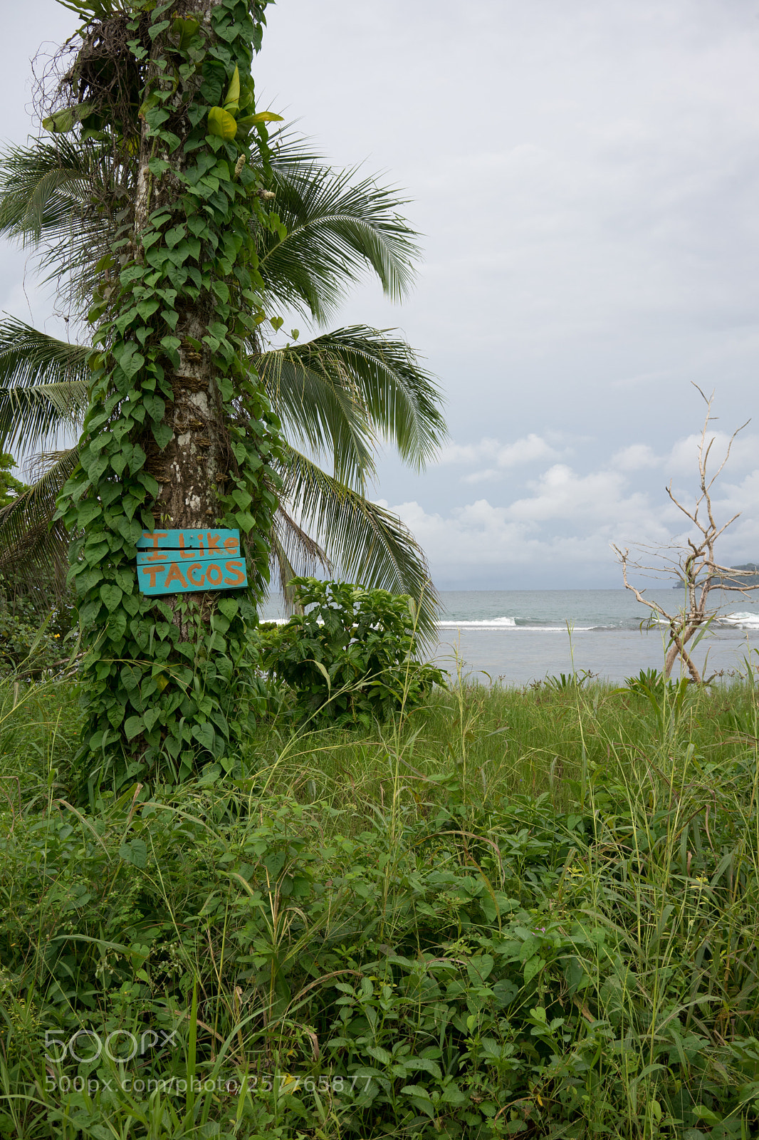Sony a7 sample photo. Statement photography