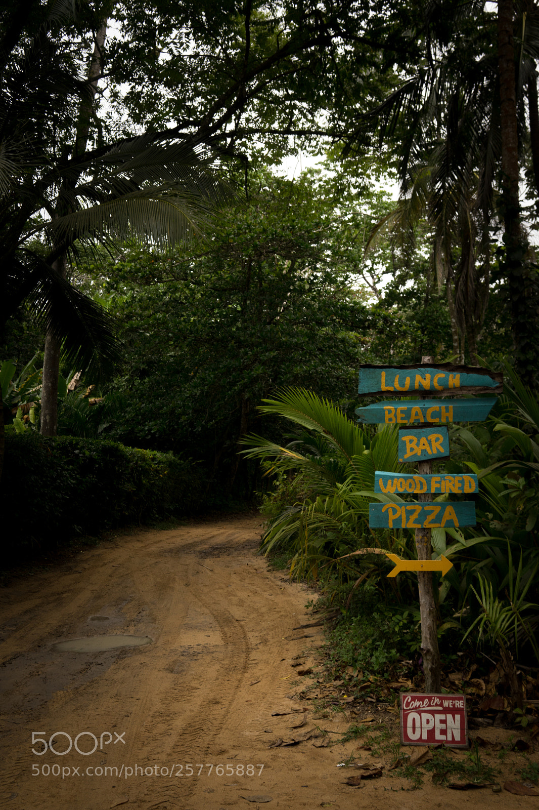 Sony a7 sample photo. Tropical #3 photography