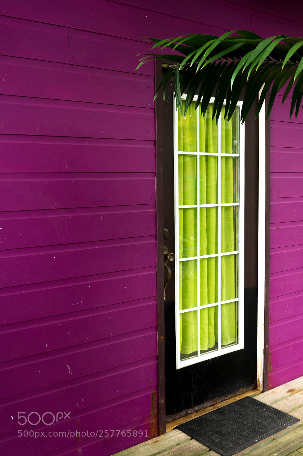 Sony a7 sample photo. Lime & purple photography