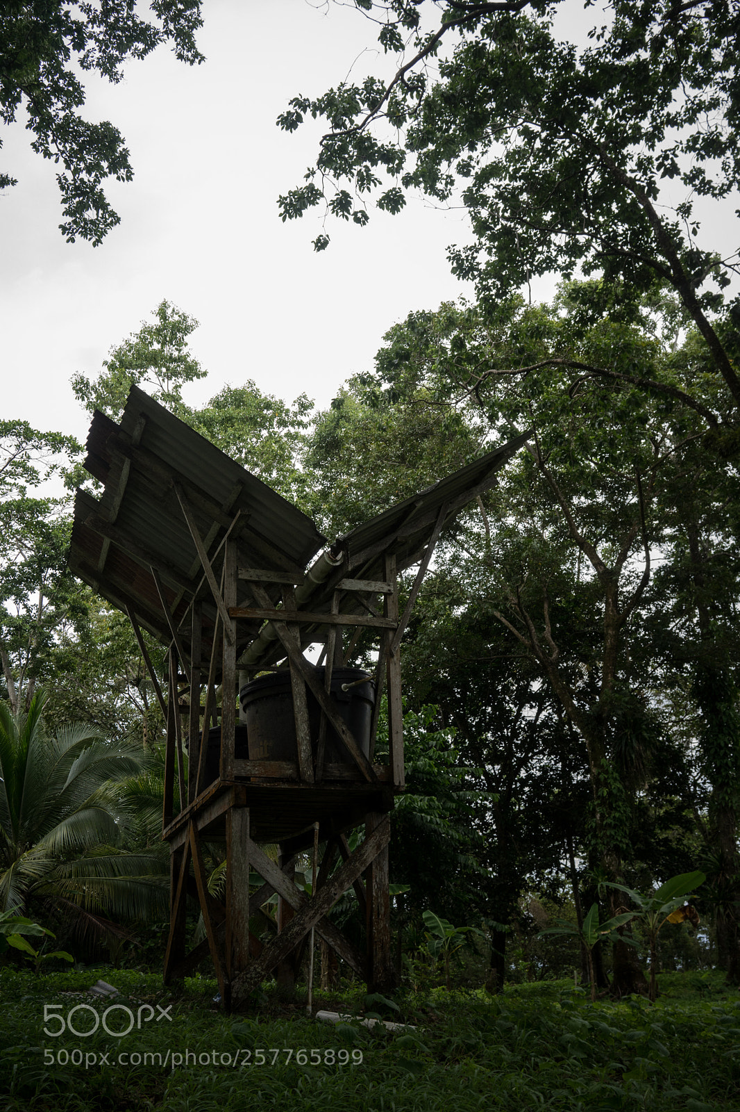 Sony a7 sample photo. Water collector photography