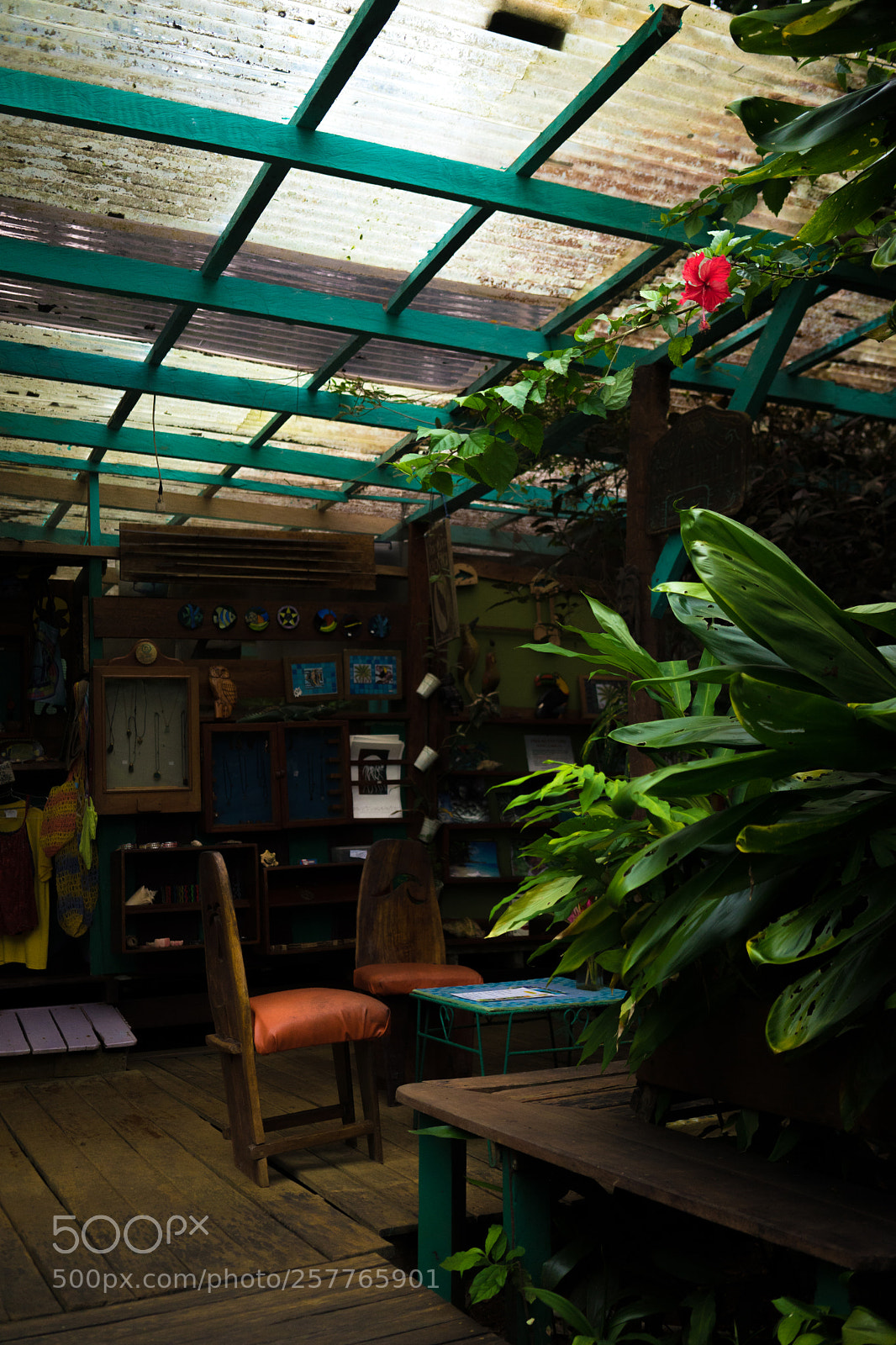 Sony a7 sample photo. Cosy photography