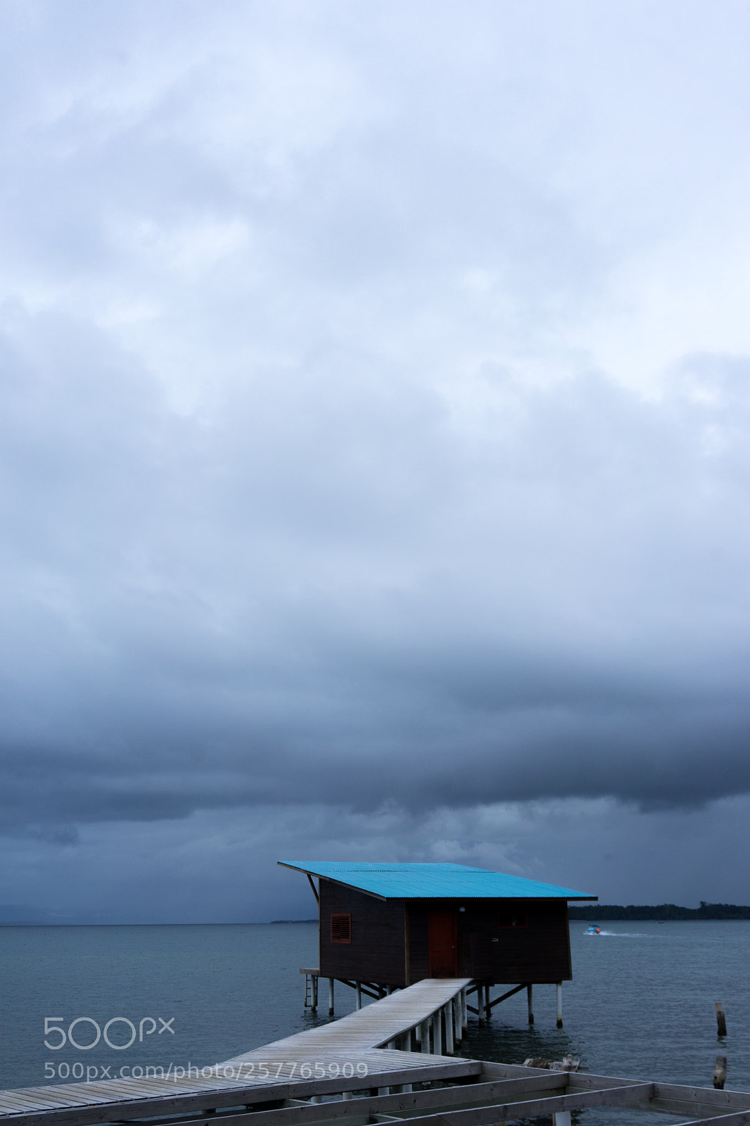 Sony a7 sample photo. Overcast photography