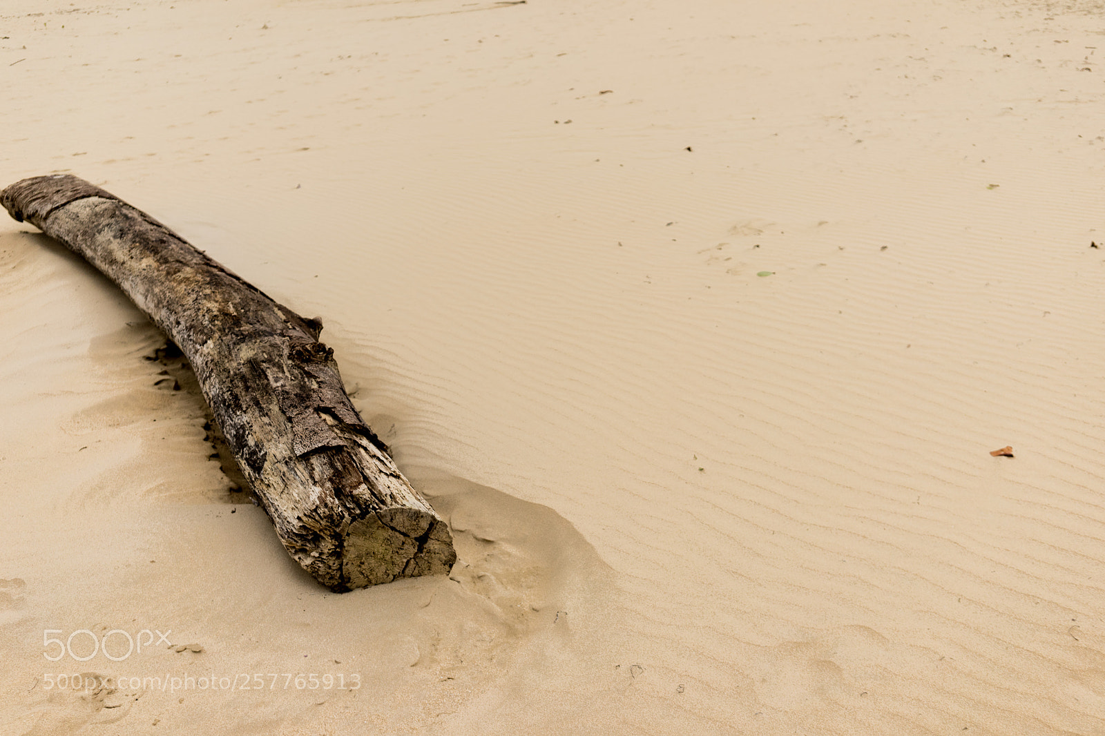 Sony a7 sample photo. Sand & wind photography