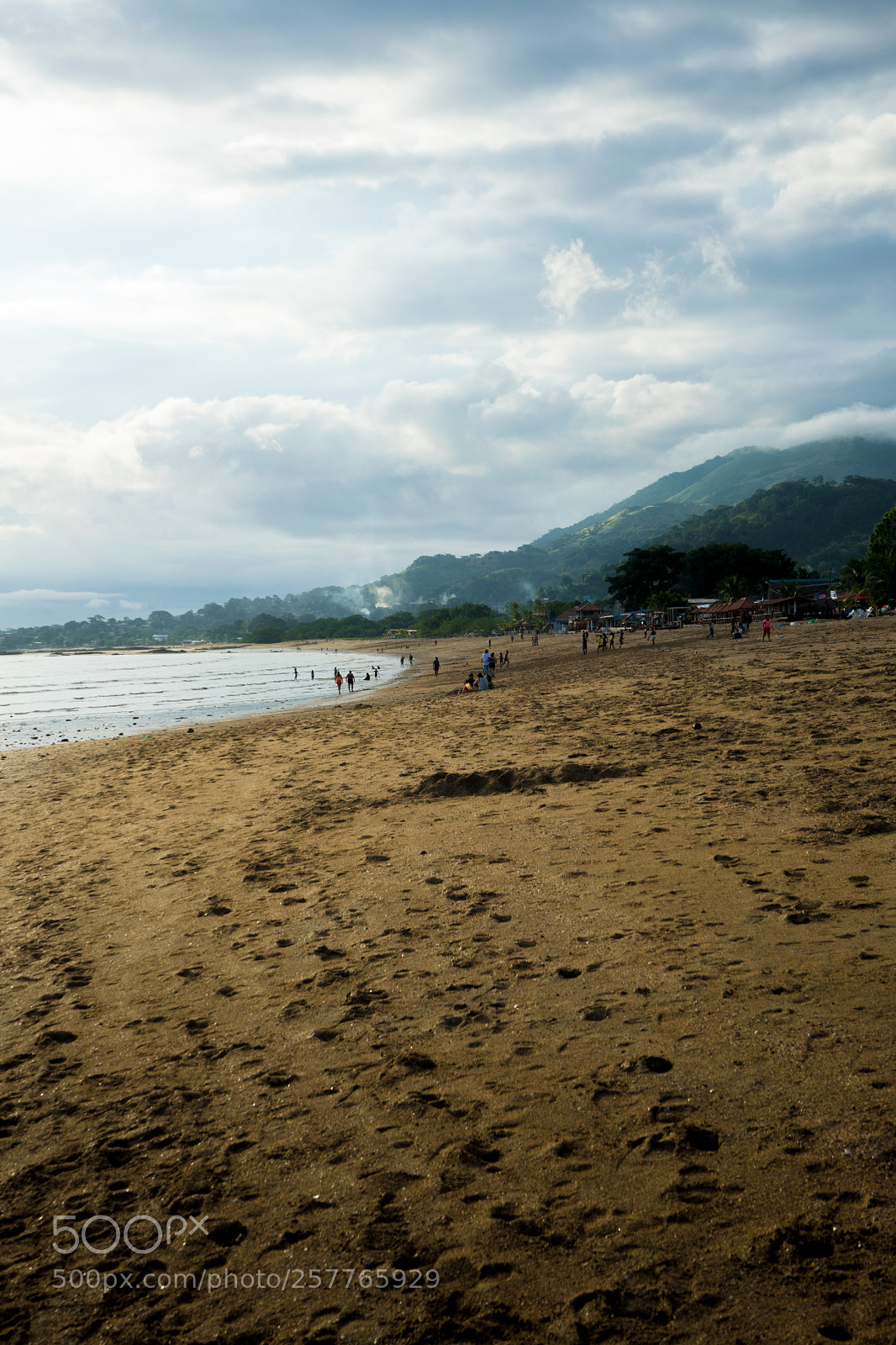 Sony a7 sample photo. Tropical #5 photography