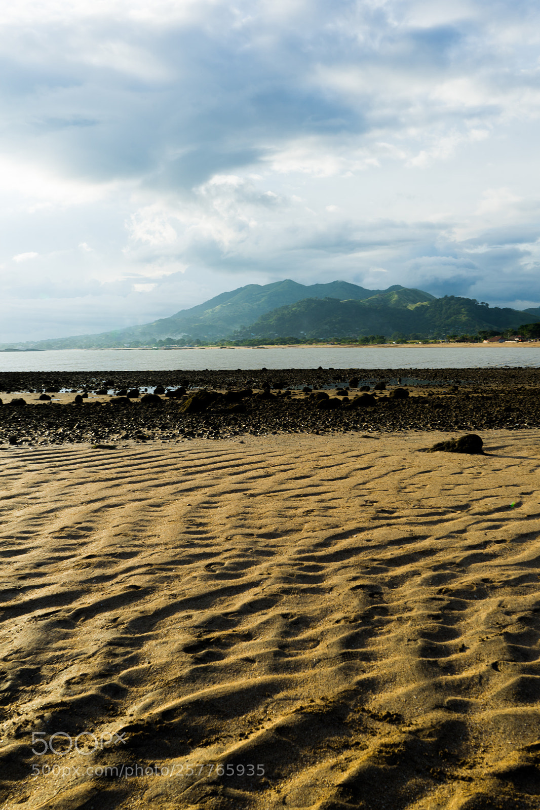 Sony a7 sample photo. Tropical #6 photography