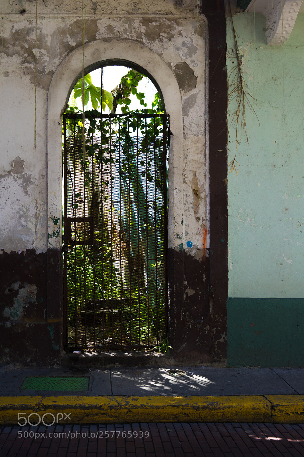 Sony a7 sample photo. Viejo photography