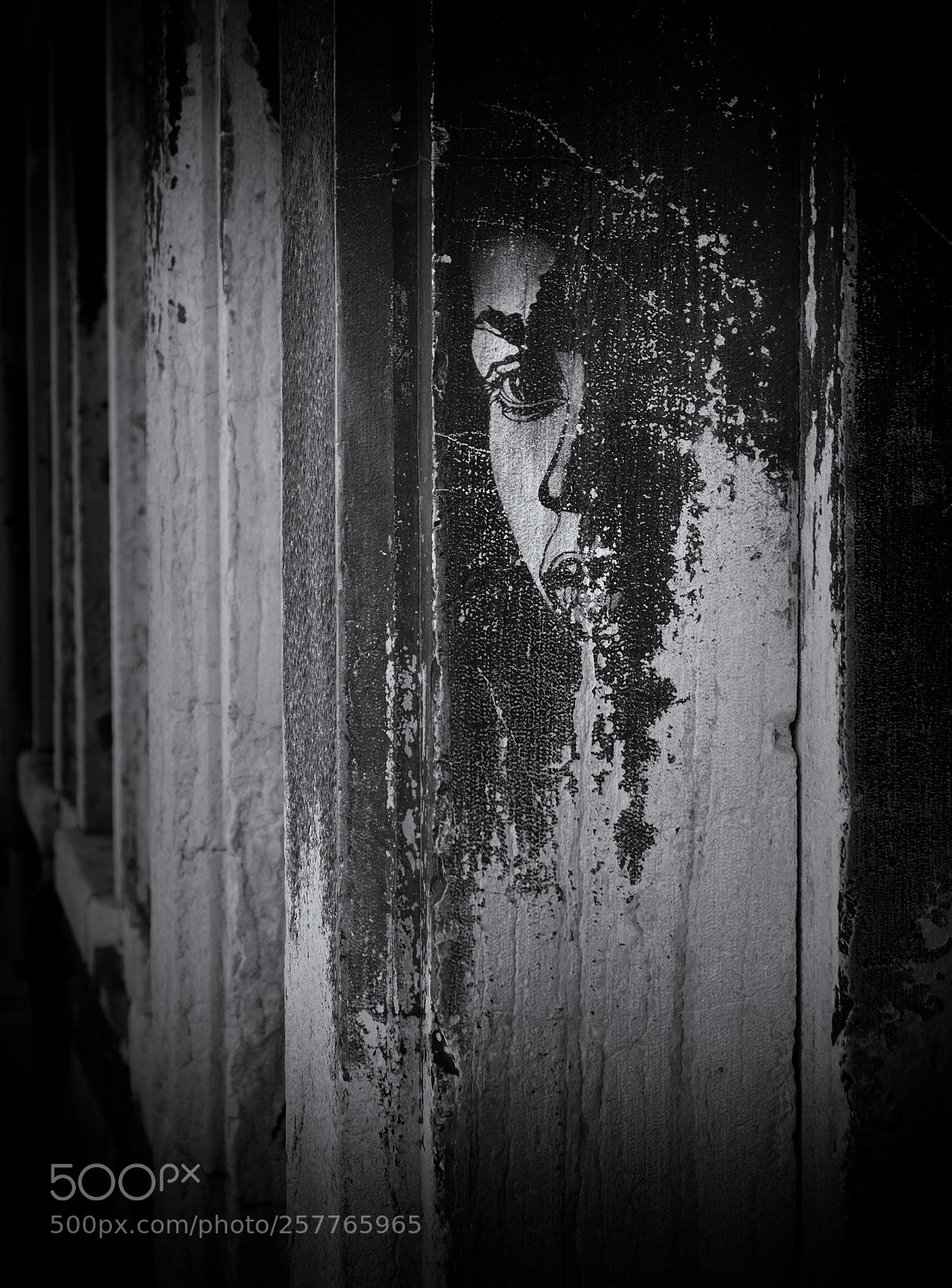 Olympus OM-D E-M10 II sample photo. ... photography