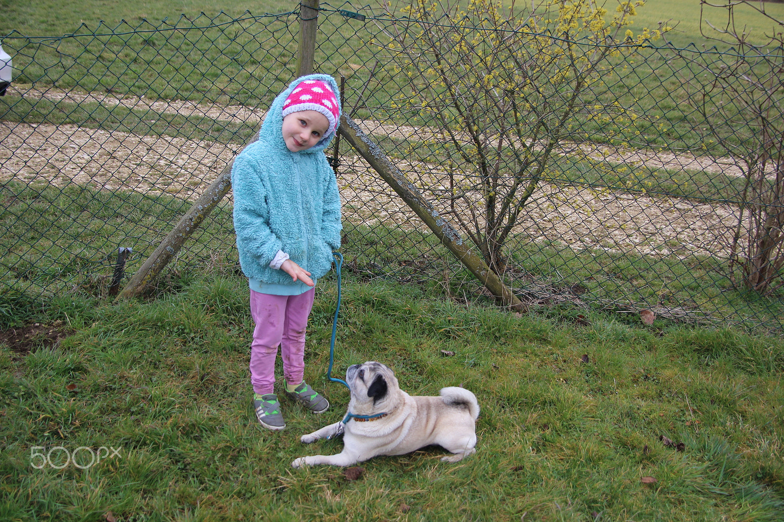 Canon EOS 600D (Rebel EOS T3i / EOS Kiss X5) sample photo. Mia und dount in der hundeschule photography