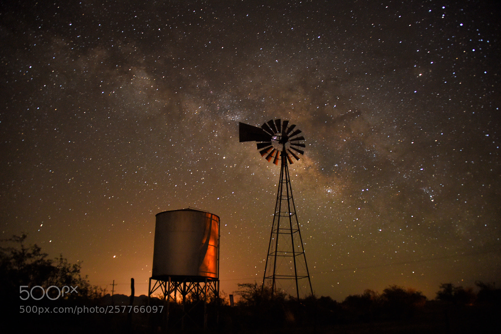 Nikon D750 sample photo. Empire ranch photography